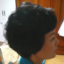강정숙헤어