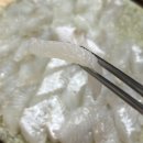 대구 장기동 먹자골목 맛집 술집 횟집 도다리 자연산회