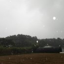 여주-0118 이미지