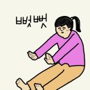 바디메이드
