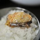 돌섬식당 이미지