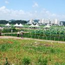 연근농장 이미지