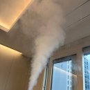 엠에스 컴퍼니 이미지