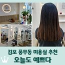 예쁘다 개 | 김포 풍무동 미용실 &lt;오늘도 예쁘다&gt; 뿌염 내돈내산 솔직후기