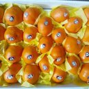 현승농장 이미지