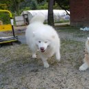 백천민박 이미지