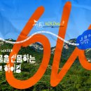 나여사김밥 이미지