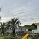 글라드 세화 이미지