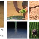 홍익대학교 문화정보정책대학원 | 2027년 홍익대학교 일반대학원 회화과 진학을 위해 필요한 인식