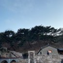 몽핀(monpin)