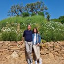 교전모터스 이미지