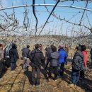 김봉학농장 이미지