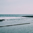 제주 올레길 8코스 이미지