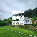 숲속의 하얀집 | 양평 펜션 풍요로운 비발디 근처 숲속의 하얀집