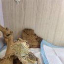 해피주 수원점 이미지