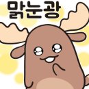 앤에프