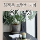 올더스 | 화정동 브런치 신상 카페 분위기 좋은 올더스캣