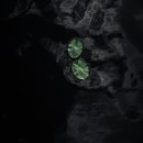 건강초음파 이미지