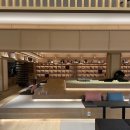 마운틴스테이 이미지