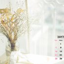 에바다미용클럽