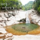 십이선녀탕주유소