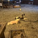 카리스펜션 | 카리스펜션