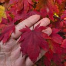 매일상회 | &#39;테라로사 서종점&#39; 커피 한잔 &amp; 매일상회 산책, 리버마켓 구경까지ㅣ내돈내산, 솔직후기