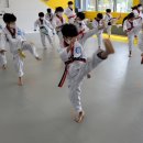 국가대표불무태권도 이미지