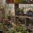 그꽃카페 이미지