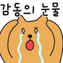 호야메기매운탕 이미지