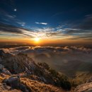 화대목장 Daum카페