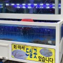 회뜨는어부가 이미지