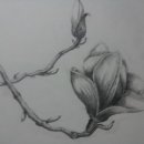 목련공원 화장실 이미지