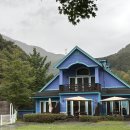 앤드퍼피 | [가성비애견펜션/양평] 앤드퍼피 애견펜션 중형견 15kg이하 내돈내산 솔직후기