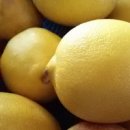 레몬 세척 방법 깔끔한 레몬씻기 레몬씻는법 이미지