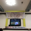 속초막창 네이버블로그