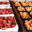 기섭목장 이미지