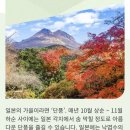 11월4일(수) ~ 8일[ 특별기획] 일본 동북부 3개현 시골열차 + 연계버스 절정단풍 과 온천여행 [KAL] 4박 이미지