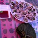 251129(토) 오이도 여행 : 선사유적지+빨강등대+회 타임(에라이 우수회원님) 이미지