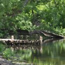 반곡저수지 이미지