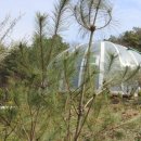 (주)우성 이미지