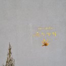 무이사회