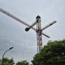 산두꺼비식당 | 제천여행 (청풍호 쾌속선, 두꺼비식당후기, 의림지 산책)