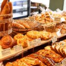 노란우체통 | 인천대공원 애견동반 베이커리 카페 노란우체통 방문 후기