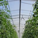 일광바이오 이미지