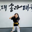 용인대점프태권도 이미지
