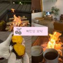 모닥 | 남양주 애견동반카페 북한강 불멍 카페 “모닥” 모닥불 세트 후기