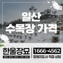 수목장 | 일산 수목장 가격,비용 후기까지 고려한다면