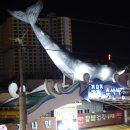 강릉동태탕 이미지