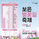 지품 | 보은 벚꽃축제 현지인이 추천 포토스팟 및 축제 후기🌸